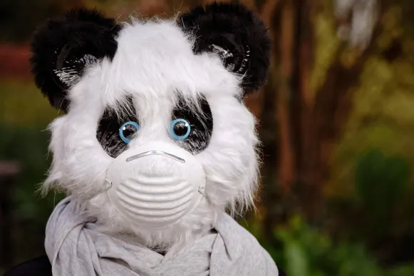 Pronto Kasino Sokongan